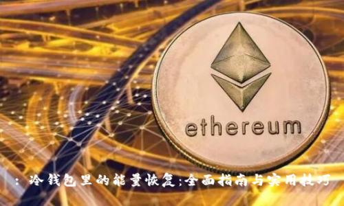 : 冷钱包里的能量恢复：全面指南与实用技巧