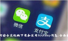如何安全高效地下载和使