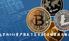 TP钱包里的BSC资产消失了怎