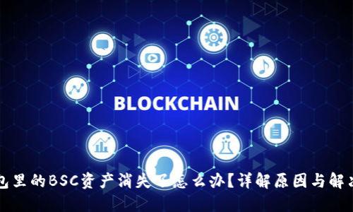 TP钱包里的BSC资产消失了怎么办？详解原因与解决方法