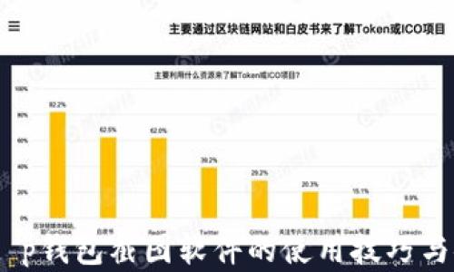 
全面剖析：t p钱包截图软件的使用技巧与安全性评估