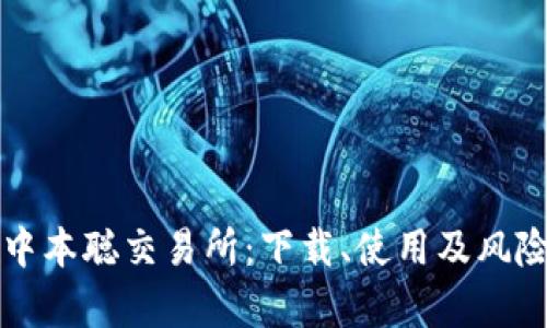 全面解析中本聪交易所：下载、使用及风险防范指南