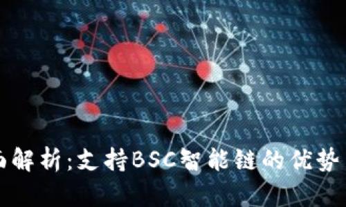 TP钱包全面解析：支持BSC智能链的优势与使用指南