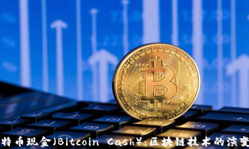 
深入探讨比特币现金（Bitcoin Cash）：区块链技术的演变与应用前景
