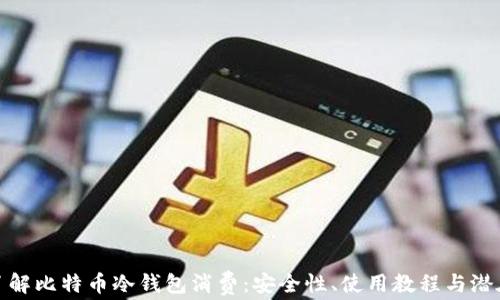 
深入了解比特币冷钱包消费：安全性、使用教程与潜在风险