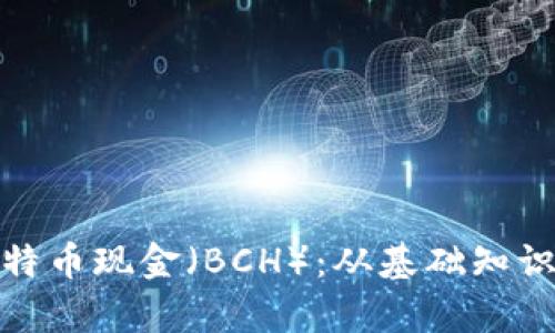 全面解析比特币现金（BCH）：从基础知识到投资机会