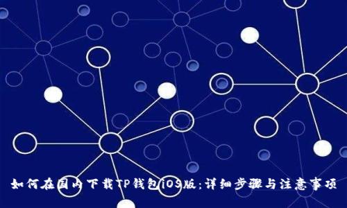 如何在国内下载TP钱包iOS版：详细步骤与注意事项