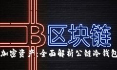 如何安全存储加密资产：全面解析公链冷钱包的