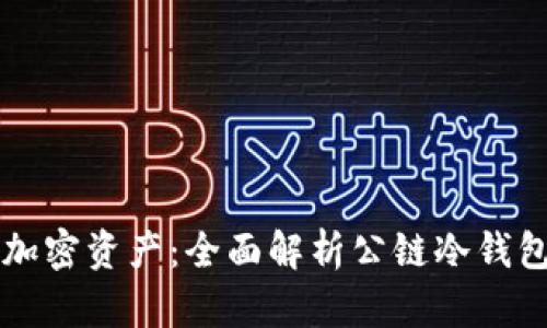 如何安全存储加密资产：全面解析公链冷钱包的功能与使用