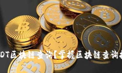 全面解析：如何进行USDT区块链查询？掌握区块链查询技术的关键与实用案例