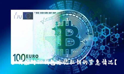  如何应对TP钱包忘记私钥的紧急情况？