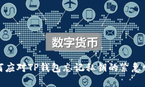  如何应对TP钱包忘记私钥的紧急情况？