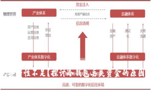 冷钱包安全性不足？探讨冷钱包丢失资金的原因与对策