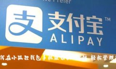 全面解析：如何在小狐狸钱包手机版切换BSC链，