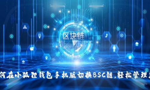 全面解析：如何在小狐狸钱包手机版切换BSC链，轻松管理您的数字资产