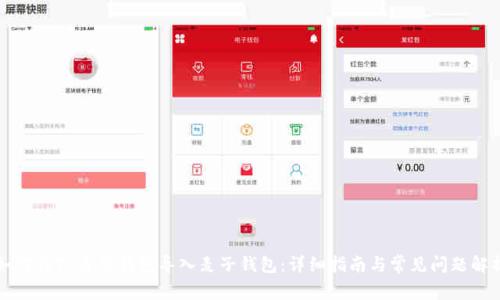 如何将TP身份钱包导入麦子钱包：详细指南与常见问题解析
