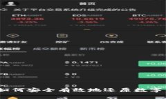 详细指南：如何安全有效地还原数字货币冷钱包