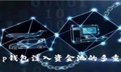 深入探讨t p钱包注入资金