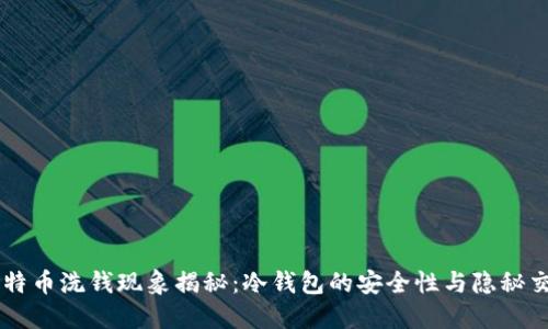 比特币洗钱现象揭秘：冷钱包的安全性与隐秘交易