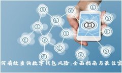 如何有效查询数字钱包风