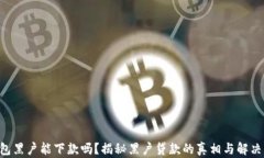 u钱包黑户能下款吗？揭秘