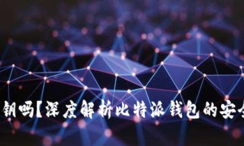  比特派钱包究竟有私钥吗？深度解析比特派钱包的安全性及其私钥管理机制