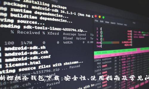 全面解析樱桃冷钱包下载：安全性、使用指南及常见问题解答