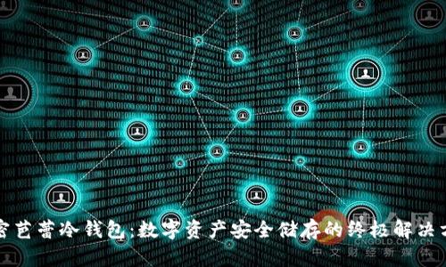 解密芭蕾冷钱包：数字资产安全储存的终极解决方案