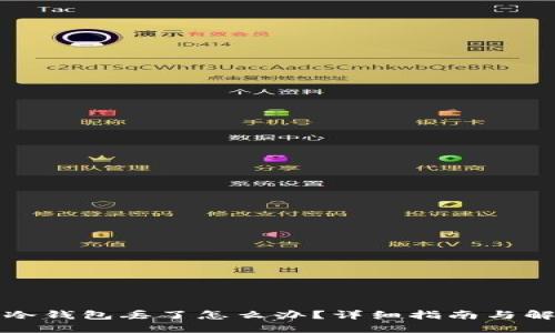 比特币冷钱包丢了怎么办？详细指南与解决方案