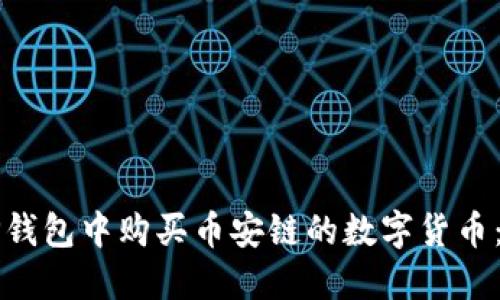 如何在TP钱包中购买币安链的数字货币：详细指南