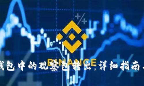 如何将TP钱包中的观察包转出：详细指南与实用技巧