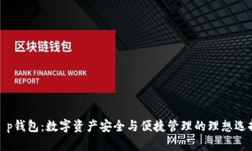 t p钱包：数字资产安全与便捷管理的理想选择