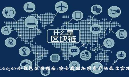 Ledger冷钱包使用指南：安全存储加密资产的最佳实践