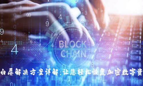 : 小狐狸钱包白屏解决方案详解：让您轻松恢复加密数字资产的安全访问