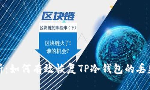 深入解析：如何有效恢复TP冷钱包的丢失或损坏