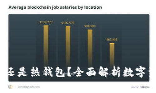 OK钱包详解：冷钱包还是热钱包？全面解析数字资产安全存储的选择