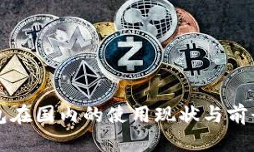 TP钱包在国内的使用现状与前景分析