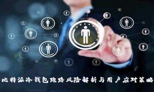 比特派冷钱包跑路风险解析与用户应对策略