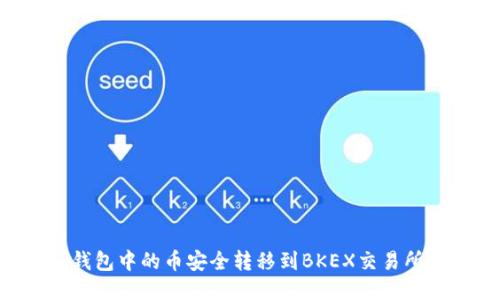 如何将TP钱包中的币安全转移到BKEX交易所：全面指南
