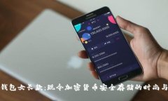 深入探讨冷钱包女长款：