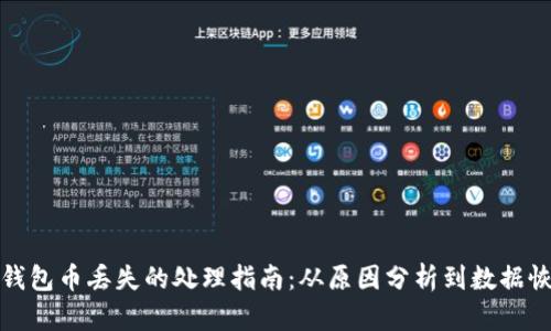 冷钱包币丢失的处理指南：从原因分析到数据恢复