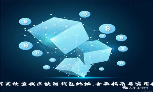 如何高效查找区块链钱包地址：全面指南与实用技巧