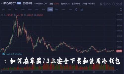 : 如何在苹果13上安全下载和使用冷钱包