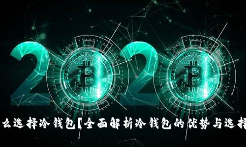 为什么选择冷钱包？全面解析冷钱包的优势与选择指南