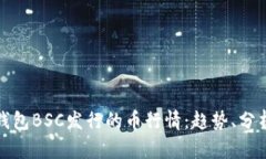 全面解析TP钱包BSC发行的币