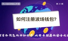 探索冷钱包的神秘世界：