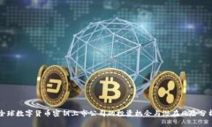 全球数字货币密钥上市公司的投资机会与潜在风