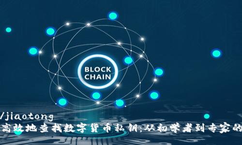 jiaotong/jiaotong
如何安全高效地查找数字货币私钥：从初学者到专家的详尽指南
