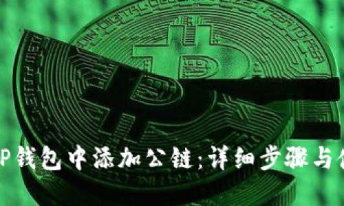 如何在TP钱包中添加公链：详细步骤与使用技巧
