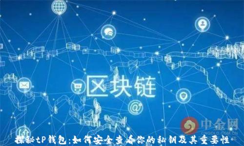 
探秘tP钱包：如何安全查看你的私钥及其重要性